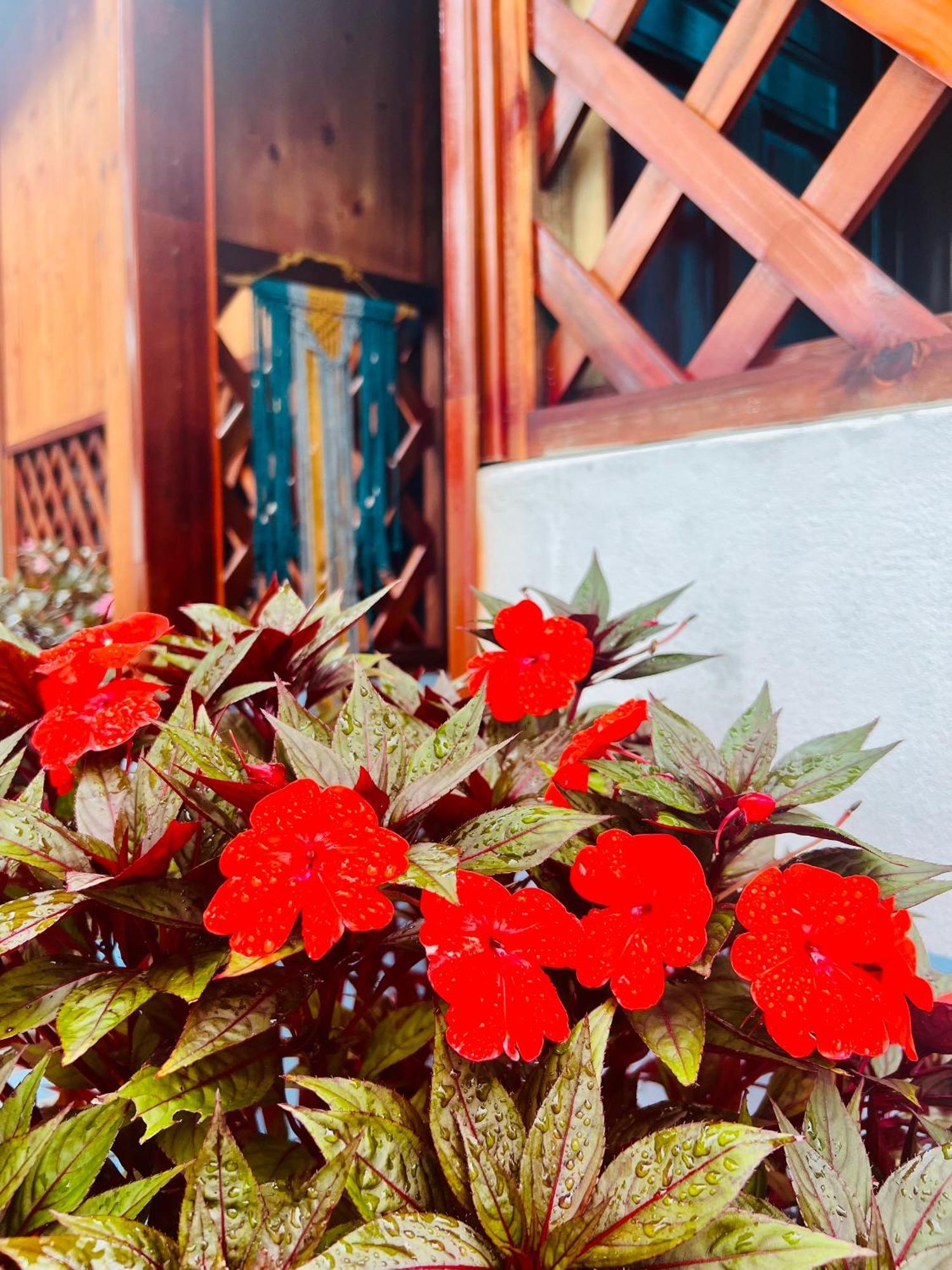 Vietnam Phuot Real Home Kon Tum Camera foto
